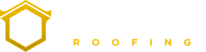 Invictus Logo