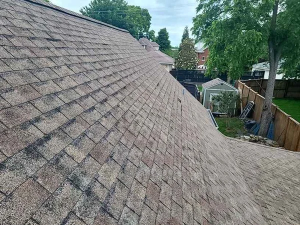 Residential asphalt shingle roof in Murfreesboro showing worn shingles needing roof shingle repair